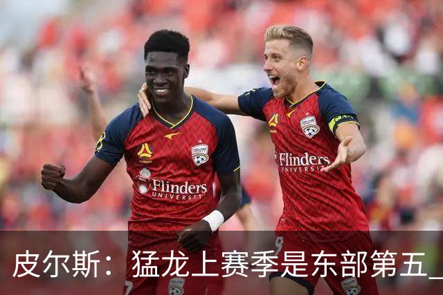 皮尔斯：猛龙上赛季是东部第五 小卡健康时猛龙是争冠热门